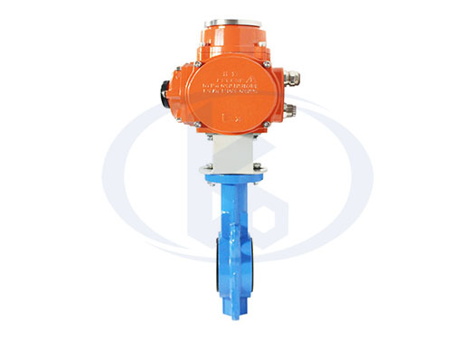 電動(dòng)硬密封對(duì)夾蝶閥